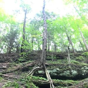 Meet your Posher, Rita